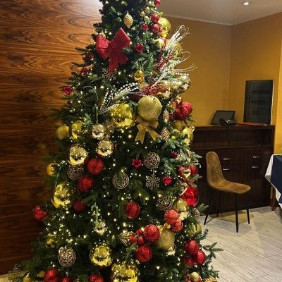 Allestimento Albero Addobbato Roma