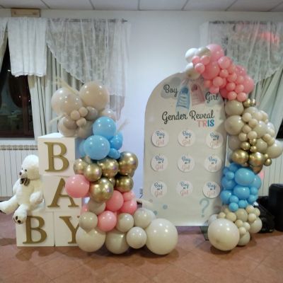 Allestimento Gender Reveal Party Magnum Eventi