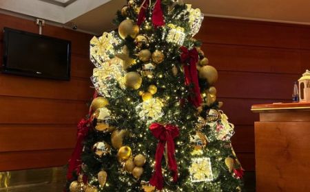 Allestimento Albero di Natale Ufficio